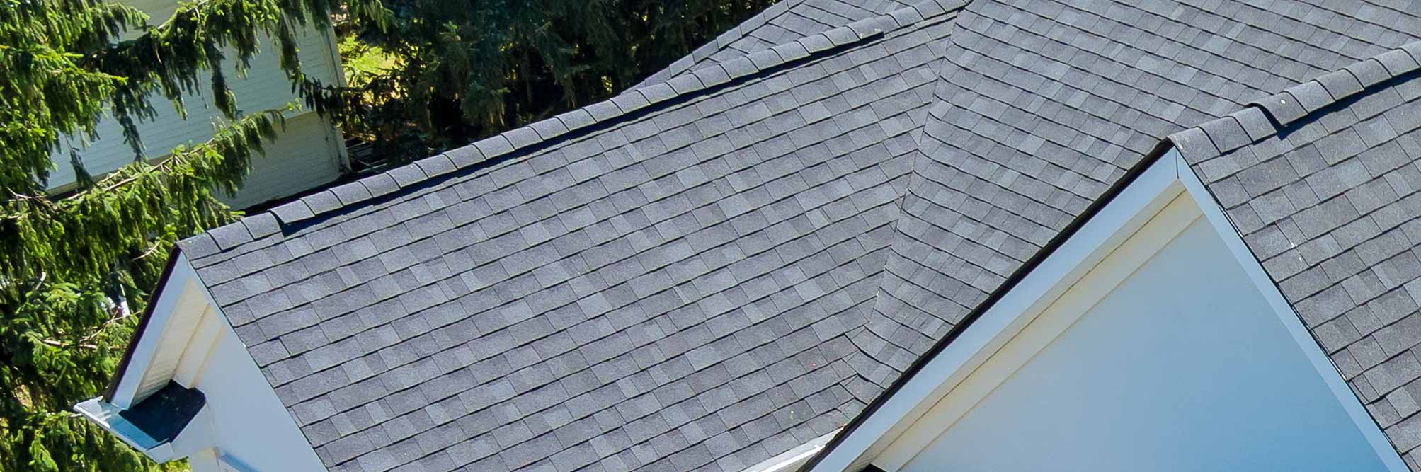 Roof Inspection Cost